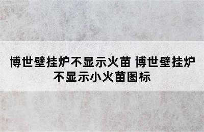 博世壁挂炉不显示火苗 博世壁挂炉不显示小火苗图标